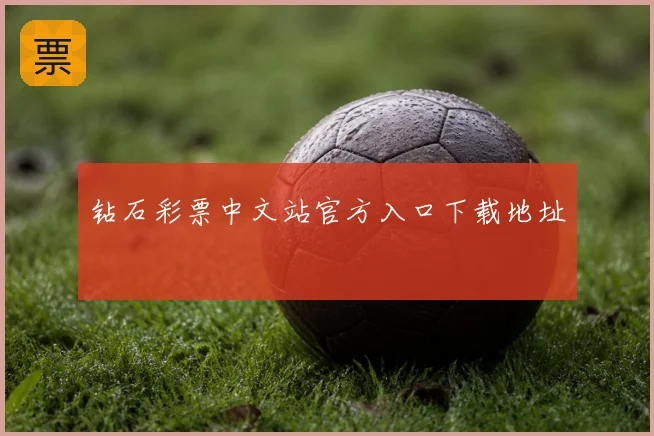 钻石彩票中文站官方入口下载地址